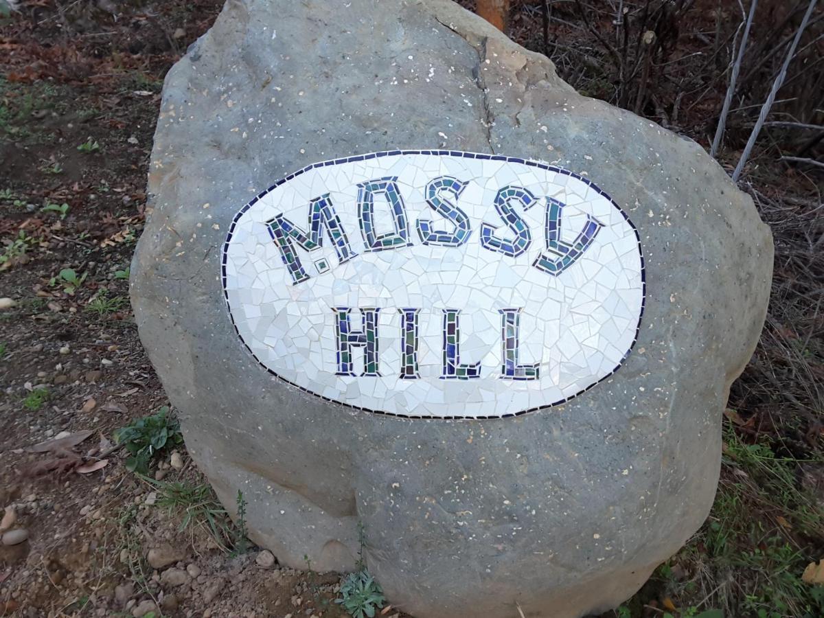 Mossy Hill Suite Ganges Exterior foto